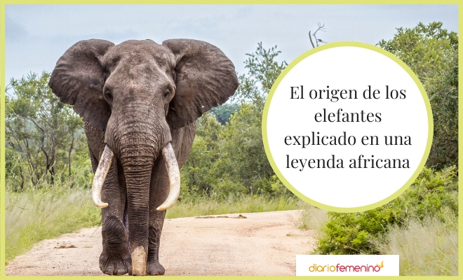 Leyenda africana a cerca del origen de los elefantes